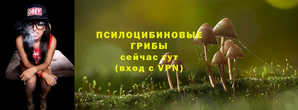 синтетический гашиш Балахна