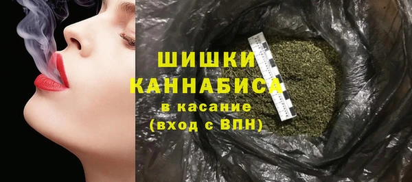 дурь Ельня