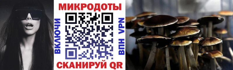 как найти Барабинск Псилоцибиновые грибы Psilocybine cubensis
